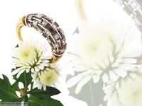 кольцо и хризантемы
 -  - скачать фотообои для рабочего стола